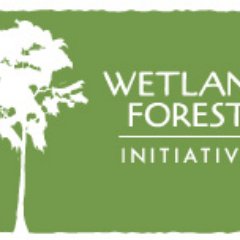 Together, we're working towards a future with abundant wetland forests for healthy human and natural communities.
