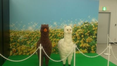 njamena1987's profile picture. にっこにっこにー！めなっちこと「なめ太郎」です
みのりん大好き
競馬と巨人、旅行が好きずら