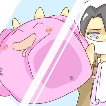 お雑巾さんのプロフィール画像