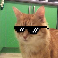 vient (@_vient_) 's Twitter Profile