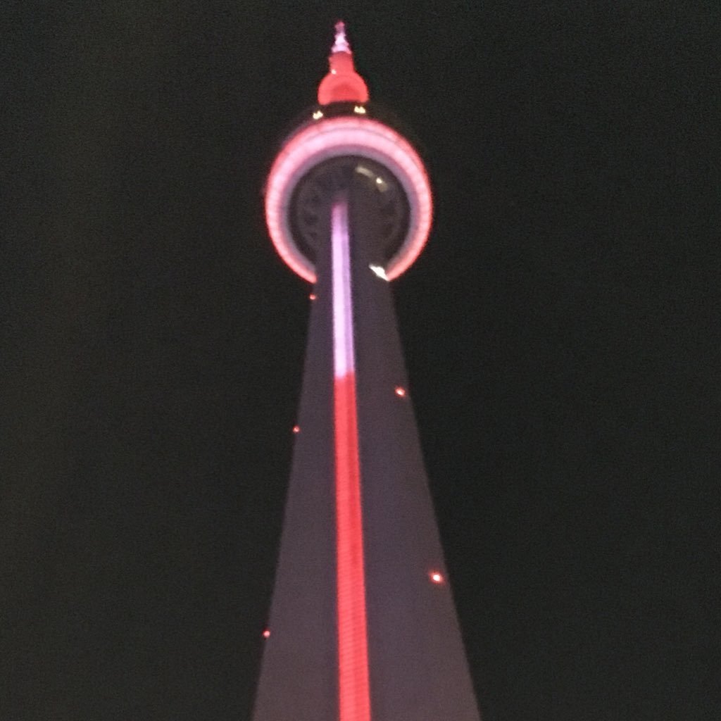 Pilot 👨‍✈️✈️ Smile more. #WeTheNorth Champions#TMLtalk