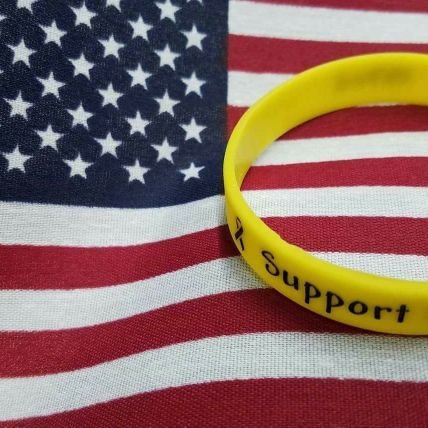 sagacity45's profile picture. Sagacity. Common sense American who supports our troops.