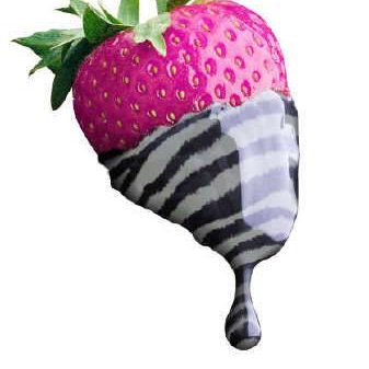 reggaetta's profile picture. ❤️ cat & music lover ❤️