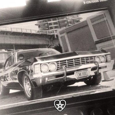 EstelElvellon's profile picture. 🇿🇦 🇵🇸💔