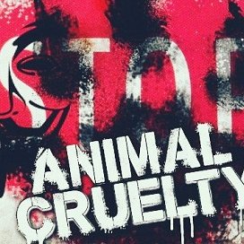 @SudVeronique #ARA #Vegan #OpBeast #OpIsis #OpPedoHunt #OpWhales #AlphabetSec #OpRodeo #OpSeaWorld #OpKillingBay