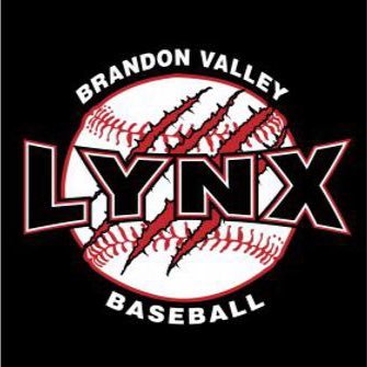 BVLynxBaseball Profile Picture