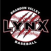 BV Baseball (@bvlynxbaseball) 's Twitter Profile