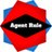 Agent Rule