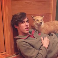 Alexander Knight (@alexander_k47) 's Twitter Profile