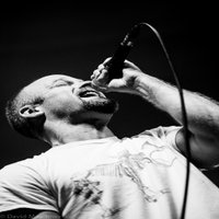 Exit Prose (@exitprose) 's Twitter Profile