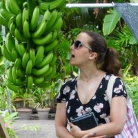 Hannah (@honeyanddough) 's Twitter Profile