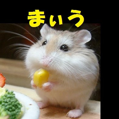 ぴんぽんのプロフィール写真