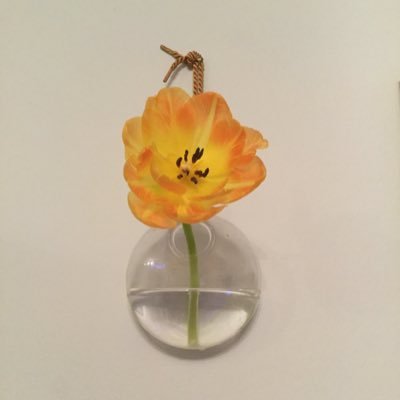 twirlymoostache's profile picture. 