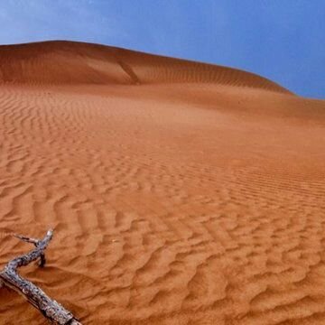 جمعية تعاونية تطوعية لحماية البيئة الطبيعية لوطننا السعودية أولا ودائما وأبدا »»» تحت التأسيس }