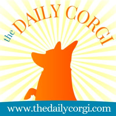 The Daily Corgi