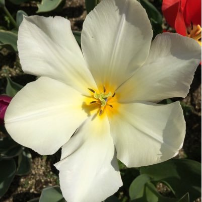 soullove_mybaby's profile picture. 6歳と4歳の男児／旦那の両親と同居解消のため取り組み中。人生はつらいな