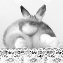 hikikomol_bunny