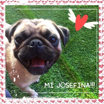 karincitaruz's profile picture. Casada, madre perruna, enfermera de corazón amo la atención primaria de salud!!! soy una mujer feliz que disfruta al 100 de su familia!!! 👫🐶