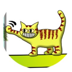 toracatorg's profile picture. Scientist, but not a rocket scientist.