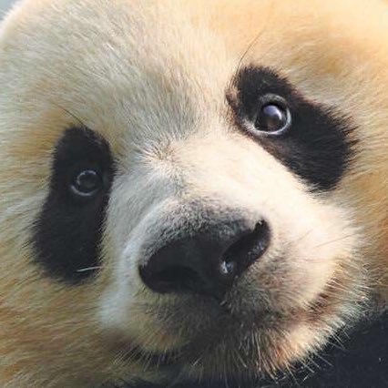 TamioSnow's profile picture. 