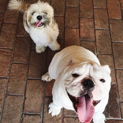 Centrilogic1's profile picture. / 20 / M / MNL / Slide thru my dm. Lets have a talk