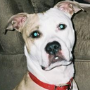 Aaron Lowe - @aarontlowe - Twitter