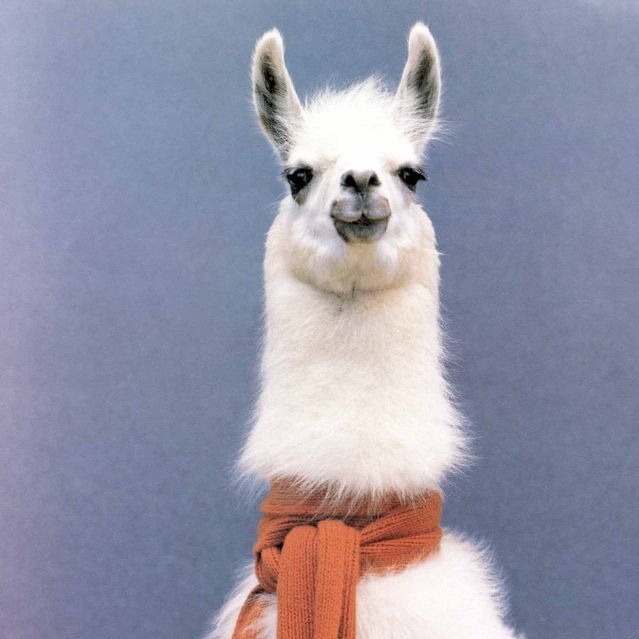 themurphyblack's profile picture. Just starin' right back…