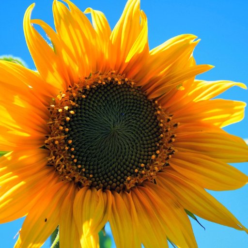 go255go255's profile picture. 映画鑑賞     音楽    ドライブ