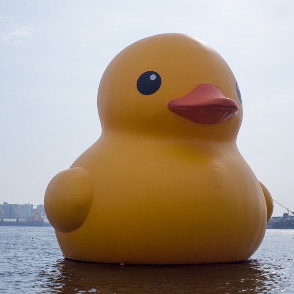 snkm3's profile picture. あの雲を切って光願う/毎日ちょっとレボリューション/あの半分を胸にしまって君を思い出す最後に