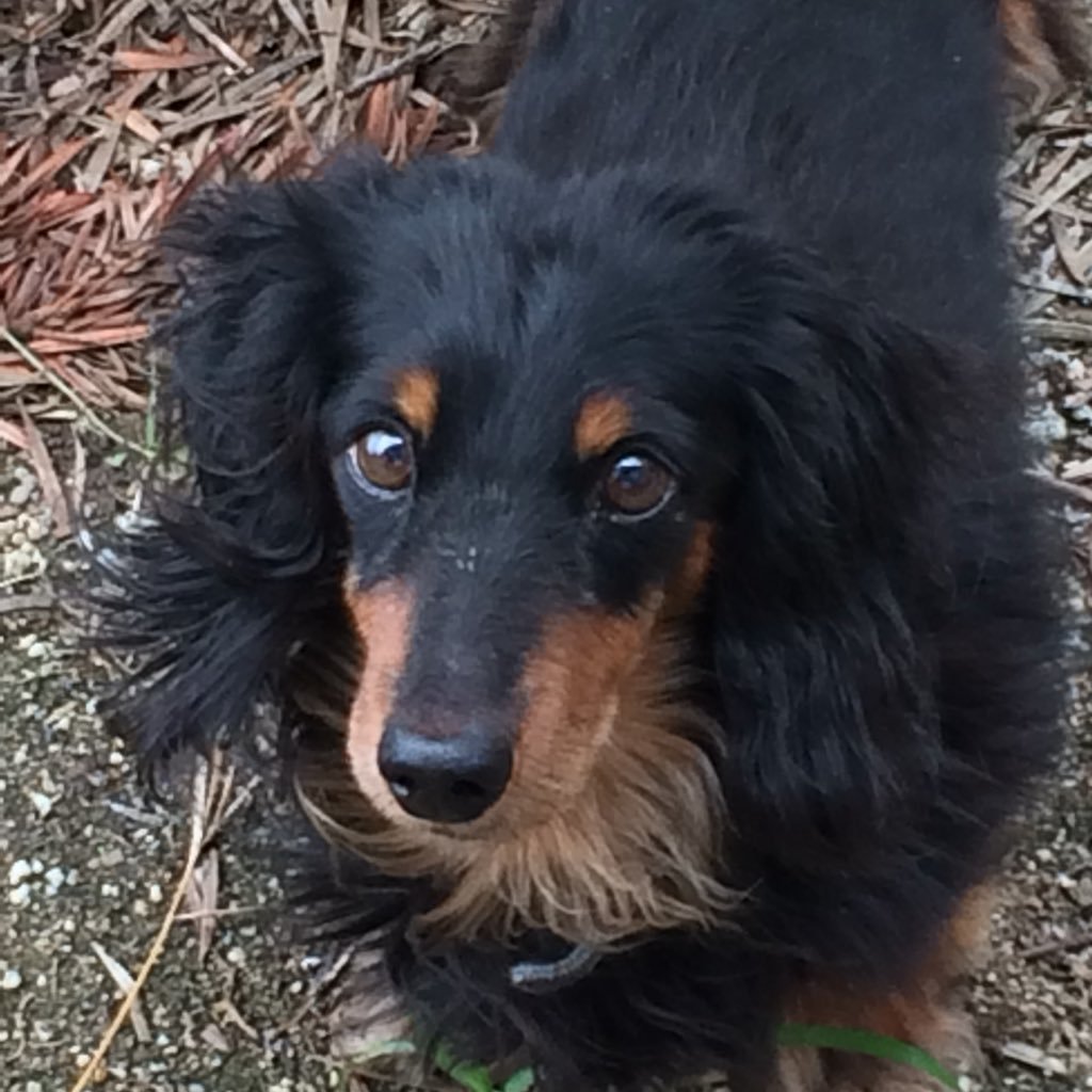 Yu0608liv's profile picture. LIVERPOOL FC / 千葉ロッテマリーンズ /WWE