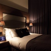 White Light (@captainpasty) 's Twitter Profile