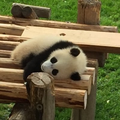 TsuyoshiFX's profile picture. 少子化の波、教育業界の変化で疲弊が見られる塾という仕事を憧れられる仕事に変えていきたい。新たな仕事の形を模索中。教育関連、学習法、働くことへの考え方など中心に、FXや経済、投資関連の考えや学んだこともつぶやきます。