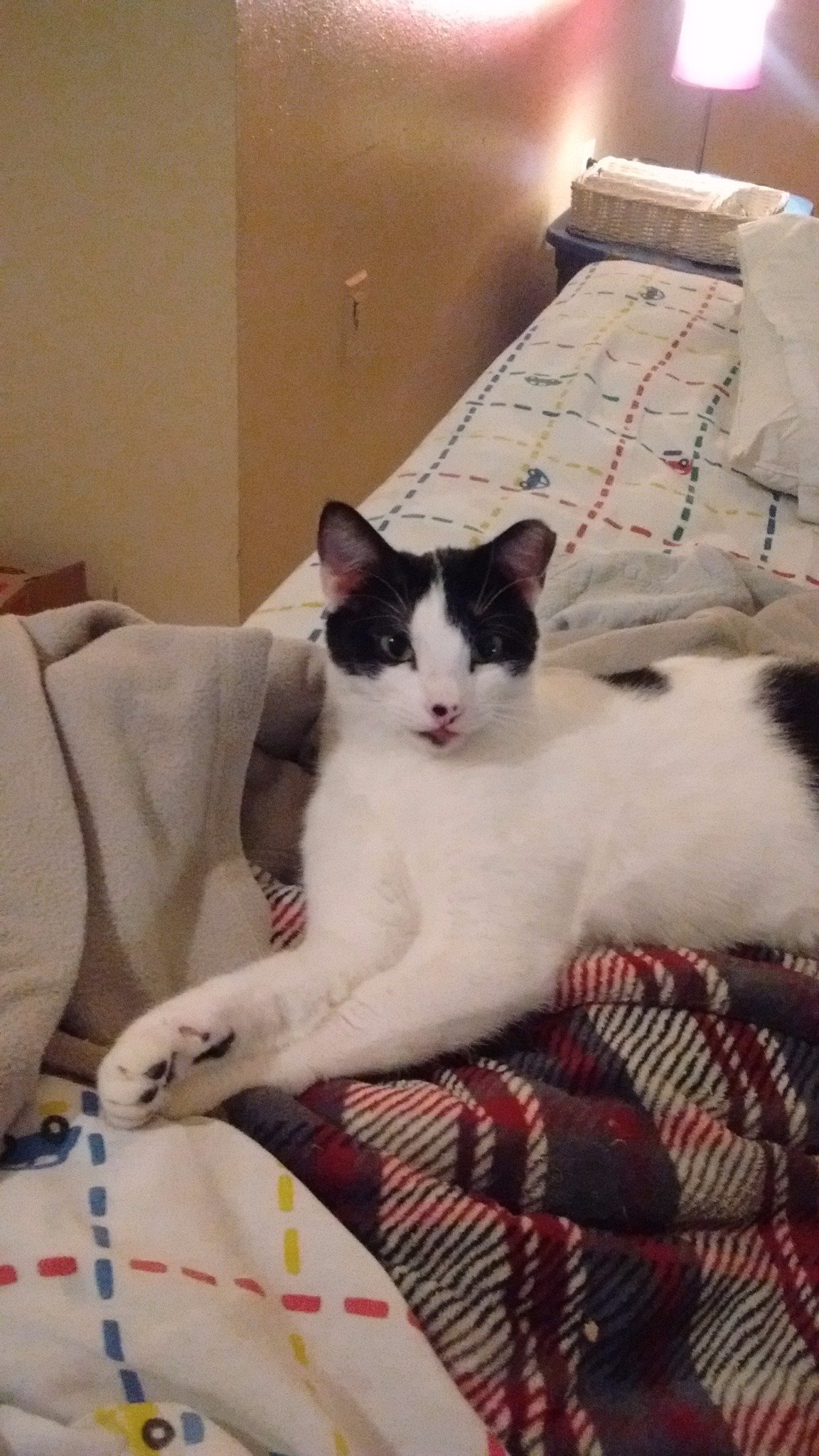 turnage_kim's profile picture. Animal Rights Activist&Advocate,Enviormental advocate,Democrat,Vegan,
7th Day Baptist Christian.Proud part of the #TrumpResistance.