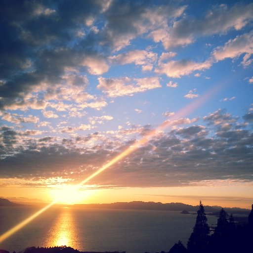 yuzusaki18's profile picture. 「この世界の片隅に」
「この世界の(さらにいくつもの)片隅に」絶賛応援中。

「KUBO/クボ 二本の弦の秘密」中心にスタジオライカ好き。

映画「いつくしみふかき」「君がいる、いた、そんな時」コツコツ応援。

最近は、風景写真と好きな映画館の情報集めが多い😆