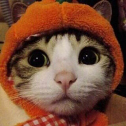 LinuxGit's profile picture. 