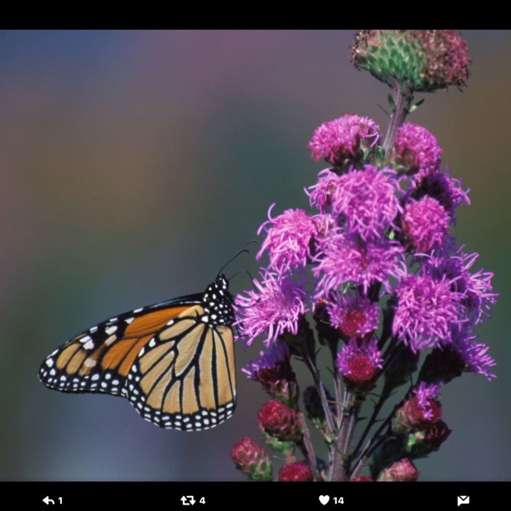 Lakeview100's profile picture. 