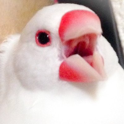 🫵(感謝の指差し)