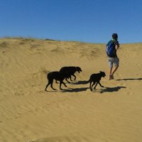 Pezziardi Benjamin (@_p2z_) 's Twitter Profile