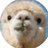 nekotakakarityo's profile image
