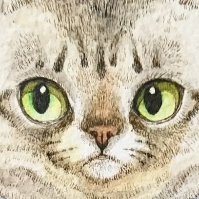 『猫の肖像画』と称して猫の絵を描いています。
猫好きの猫アレルギー。
来世は猫屋敷に住む予定。