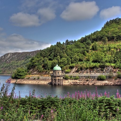 TheElanValley Profile Picture