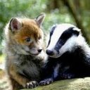 ⚫️ Lynda Smith #FBPE #ABTV #WATON - @LynAraucana - Twitter