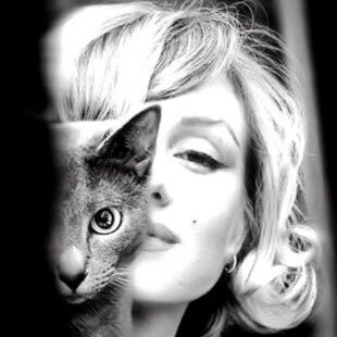 Ladelgato 🇵🇸さんのプロフィール画像