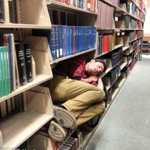 (Eigen)aardigheden van het #bibliotheekleven met een knipoog