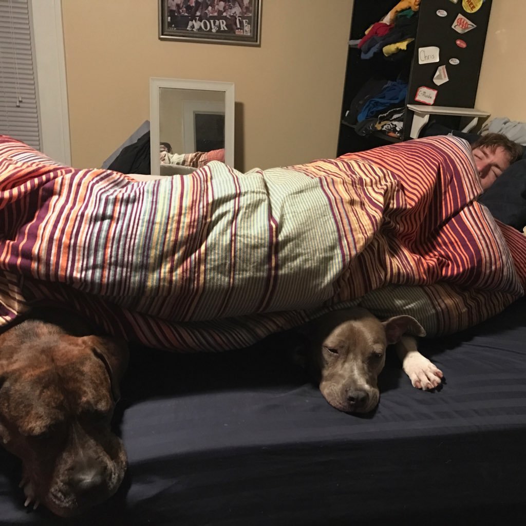 mcwop23's profile picture. DSA Jacksonville, knickerbockers