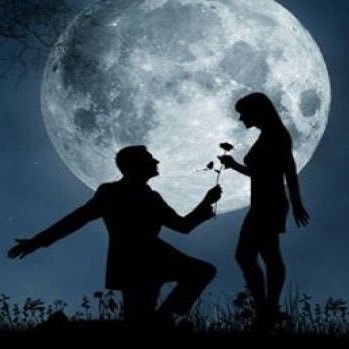 جار القمر Jar Algamaar Twitter