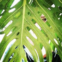 Caro Usel (@colourfulzebra) 's Twitter Profile