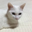 トモキ (@0319_tomoki) Twitter