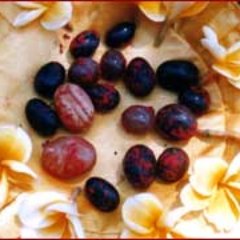 revatifish's profile picture. Bookish, lefty Hindu/Polonia mashup, vegetarian meditator seeking enlightenment, freedom from rebirth, and inner peace. #JusticeforPremananda #JeremyCorbyn