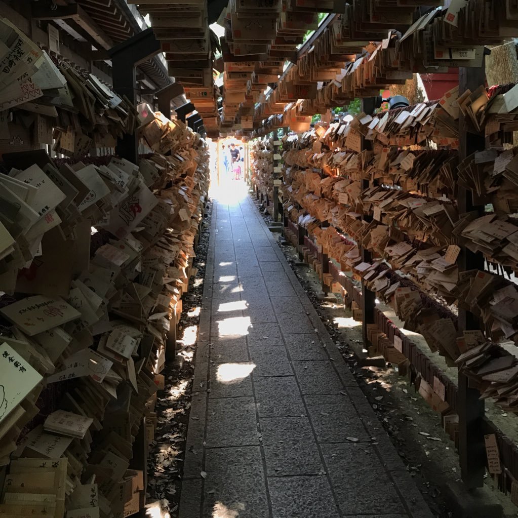 hikoi_pan's profile picture. 